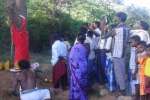 வேப்பமரத்தில் பால் வடியும் வினோதம்: கற்பூரம் ஏற்றி வழிபாடு!