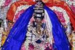 தட்சிணாமூர்த்தி விநாயகருக்கு திருக்கல்யாண விழா
