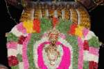 சேஷ வாகனத்தில் சித்தி விநாயகர் வீதியுலா!