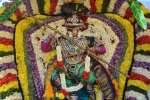 நவநீதகிருஷ்ண சுவாமி கோவில் உறியடி உற்சவம்!