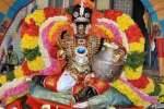 வெண்ணெய்தாழியுடன் நவநீதகிருஷ்ணர் திருவீதி உலா!