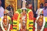 ஸ்ரீனிவாசபெருமாள் கோயிலில் பிரம்மோற்சவ திருக்கல்யாணம்!