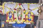 சிங்கவரம் ரங்கநாதர் கோவிலில் திருப்பாவாடை உற்சவம்!