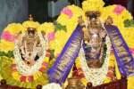 வரதராஜபெருமாள் கோவிலில் பன்னிரு கருட சேவை நாளை துவங்குகிறது!