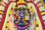 வீரட்டானேஸ்வரர் கோவிலில் நவராத்திரி விழா!