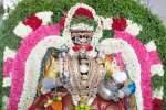 லட்சுமி நாராயண பெருமாள் கோவிலில் சிறப்பு திருமஞ்சனம்!