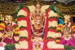 தென்திருமலை வேங்கடேஸ்வர சுவாமி வாரி கோவிலில் தேர்த்திருவிழா!