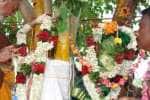 கோடி புண்ணியம் தரும் அரசு - வேம்பு திருமணம்!