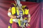 திருநள்ளார் கோவிலில் சிறப்பு அலங்காரத்தில் அம்பாள் அருள்பாலிப்பு!
