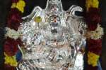 வீரட்டானேஸ்வரர் கோவிலில் வராஹிக்கு வெள்ளி கவசம்!