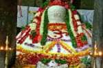 சிவன் கோவில்களில் ஐப்பசி அன்னாபிஷேகம் கோலாகலம்!