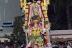 கருட வாகனத்தில் வரதராஜ பெருமாள் உலா