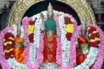 திருத்தணி முருகன் கோவிலில் ஐப்பசி கிருத்திகை விழா!