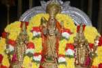 மயிலம் முருகன் கோவிலில் ஐப்பசி கிருத்திகை விழா!