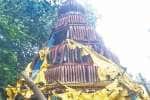 நீண்ட காலமாக பராமரிப்பில்லாத காலடிப்பேட்டை கோவில் தேர்!