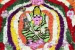 சென்னிமலை மாரியம்மன் கோவில் பொங்கல் விழா!