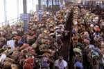 சபரிமலை மண்டல, மகர உற்சவத்தில் 13 லட்சம் பேருக்கு அன்னதானம்!