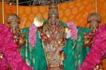 திருச்செந்துார் முருகன் கோவிலில் நாளை சூரசம்ஹாரம்