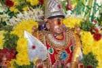 பழநியில் நாளை சூரசம்ஹாரம்: தங்கரத புறப்பாடு நிறுத்தம்