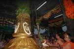 திருவண்ணாமலை தீப திருவிழா கொடியேற்றத்துடன் துவங்கியது!