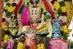 புருகீஸ்பேட்டையில் சூரசம்ஹாரம்!