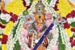 திருப்பூரில் 