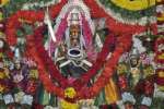 வழிவிடு முருகன் கோயிலில் திருக்கல்யாணம் கோலாகலம்