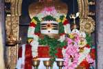 சிவலோகநாதர் கோவிலில் பிரதோஷ வழிபாடு!
