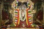பாண்டுரங்கன் அலங்காரத்தில் திருவதிகை சரநாராயண பெருமாள்!
