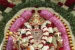 வனபத்ரகாளியம்மன் தாலி விழுந்ததா? விளக்கேற்றி பரிகாரம்!