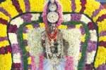 திருப்போரூர் அய்யப்பன் கோவிலில் 38ம் மகர விளக்கு பூஜை!
