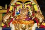 திருவண்ணாமலை சீனிவாச பெருமாள் கோவிலில் பிரமோற்சவ விழா!