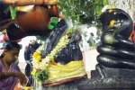 திருப்பூர், அவிநாசி கோவில்களில் தனுர் மாத பூஜை