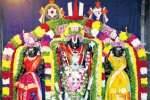தியாகதுருகம் பெருமாள் கோவிலில் சொர்க்கவாசல் திறப்பு வைபவம்