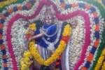 பள்ளிகொண்டீஸ்வரர் கோவில் நடராஜ பெருமான் திருவீதி உலா!