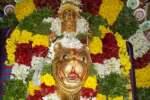 புலிவாகனத்தில் ஐயப்பன்சுவாமி உலா !
