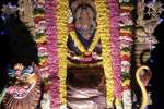 சேந்திரக்கிள்ளையில் ஐயப்பன் ஊர்வலம்