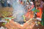 சிறுமலையில் அகத்திய மகரிஷி ஜெயந்தி விழா