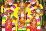 சரநாராயண பெருமாளுக்கு சிறப்பு அலங்காரம்