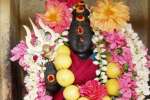 வால்பாறை துர்க்கை அம்மனுக்கு சிறப்பு பூஜை