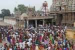 விருத்தகிரீஸ்வரர் கோவில் கொடி மரங்களுக்கு கும்பாபிஷேகம்!