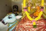 சிவன் மற்றும் பெருமாள் கோயில்களில் பிரதோஷ வழிபாடு!