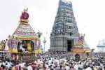 மருதமலை சுப்ரமணிய சுவாமி கோவிலில் தைப்பூச தேர் திருவிழா கொண்டாட்டம்