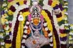 நாமக்கல் முருகன் கோவில்களில் தைப்பூச தேர்திருவிழா கோலாகலம்