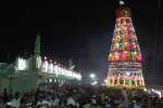 காட்டுபாவா பள்ளிவாசலில் சந்தனக்கூடு விழா