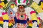 பழநி தைப்பூசத் திருவிழா தெப்ப உற்சவத்துடன் நிறைவு!