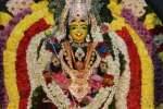 அவிநாசி மாரியம்மன் பூச்சாட்டு விழா