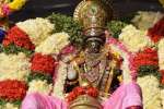 கருட வாகனத்தில் திருவல்லிக்கேணி பார்த்தசாரதி பெருமாள் உலா!