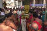 விருத்தாசலம் மாசி மக உற்சவம் துவக்கம்