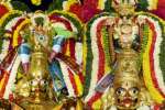 திருநாங்கூரில் 11 கருடசேவை: பல்லாயிரக்கணக்கான பக்தர்கள் தரிசனம்!